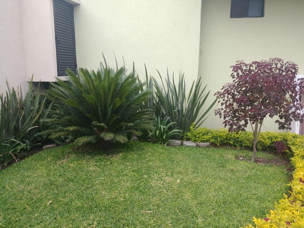 Estancia Santa Fe 塞拉亚 外观 照片
